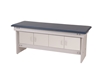 Laminated Exam Table  with Cabinet 